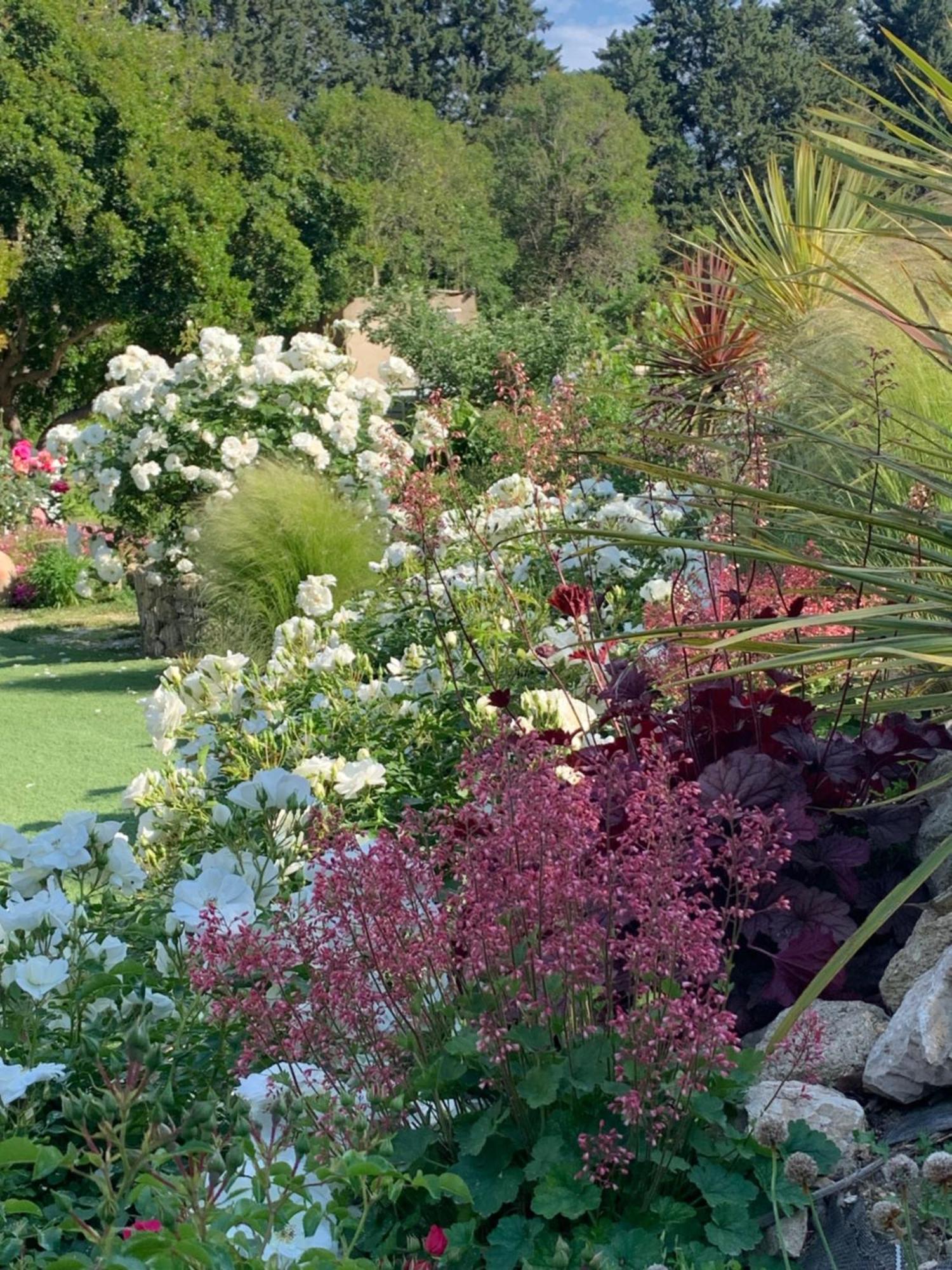 Brossard Bed & Breakfast Cavaillon Dış mekan fotoğraf