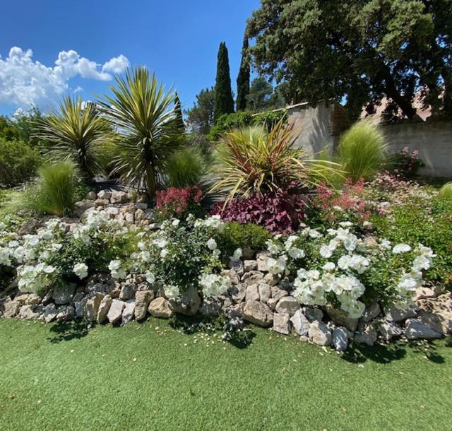 Brossard Bed & Breakfast Cavaillon Dış mekan fotoğraf